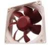 Case Fan